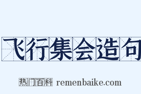 飞行集会造句是什么意思的图片